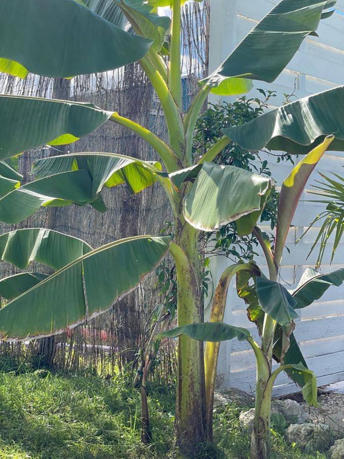 Location de vacances pour 2 personnes, avec jardin ainsi que vue et piscine, animaux acceptés à Margueron - 3