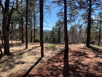 Camping für 4 Personen in Coconino Nationalwald, Arizona, Bild 4