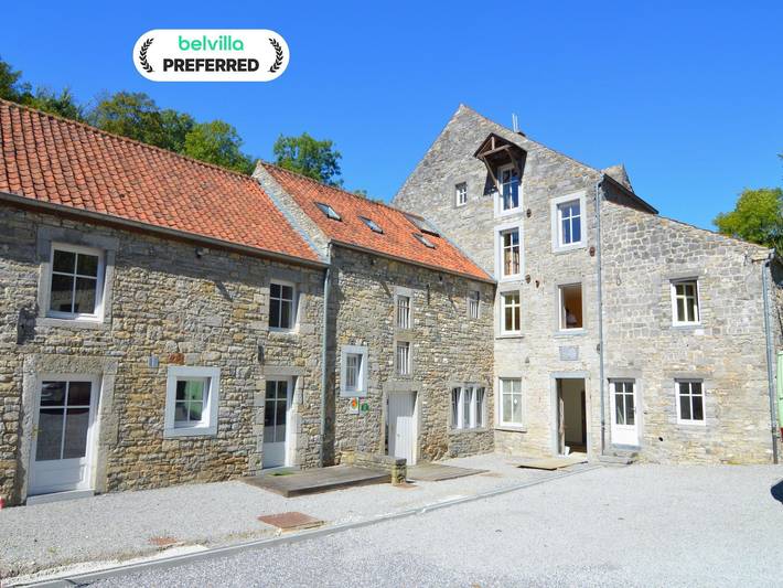 Moulin pour 36 personnes, avec terrasse, adapté aux familles à Anhée