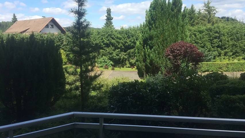 Ferienwohnung für 3 Personen, mit Whirlpool und Pool sowie Sauna und Balkon in Altenau - 4
