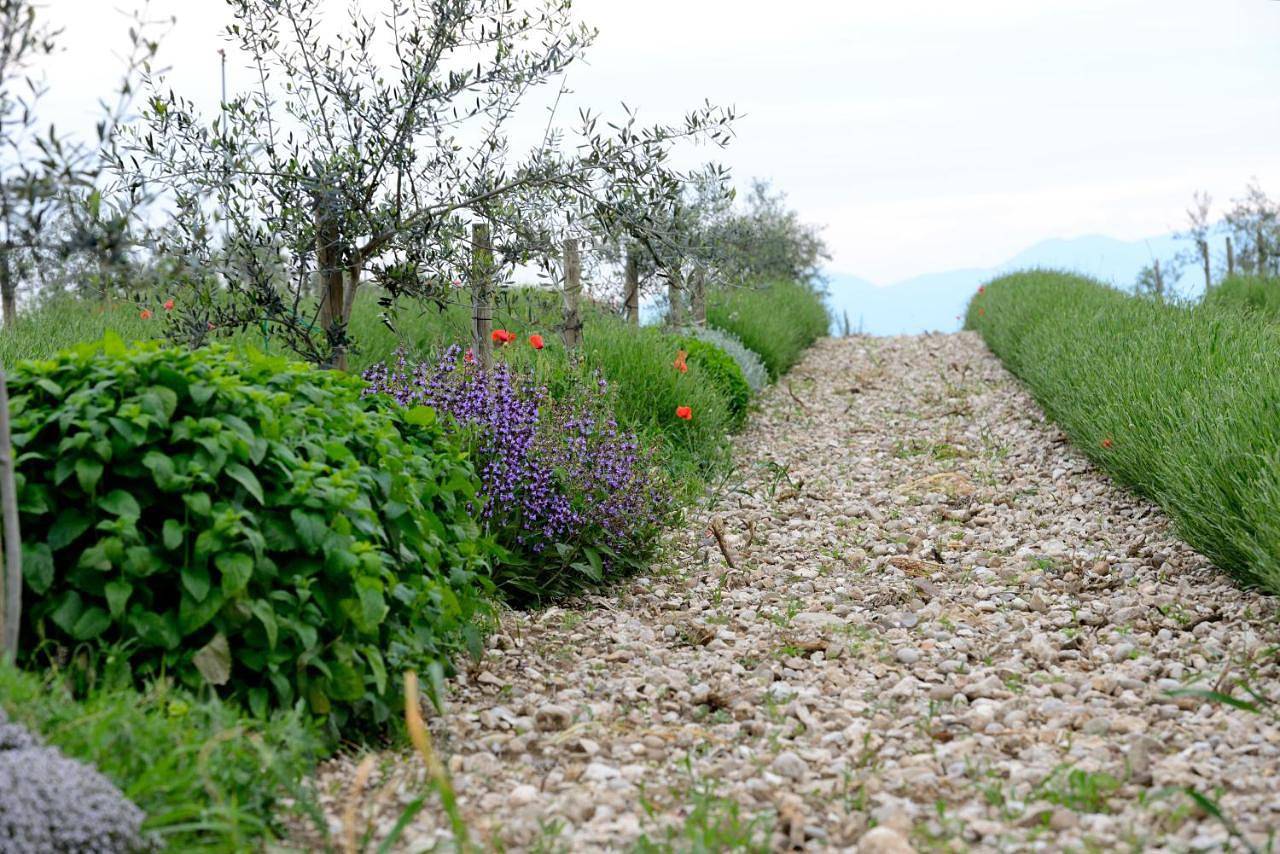 Agriturismo2laghi in Ponti sul Mincio, Prealpi Gardesane