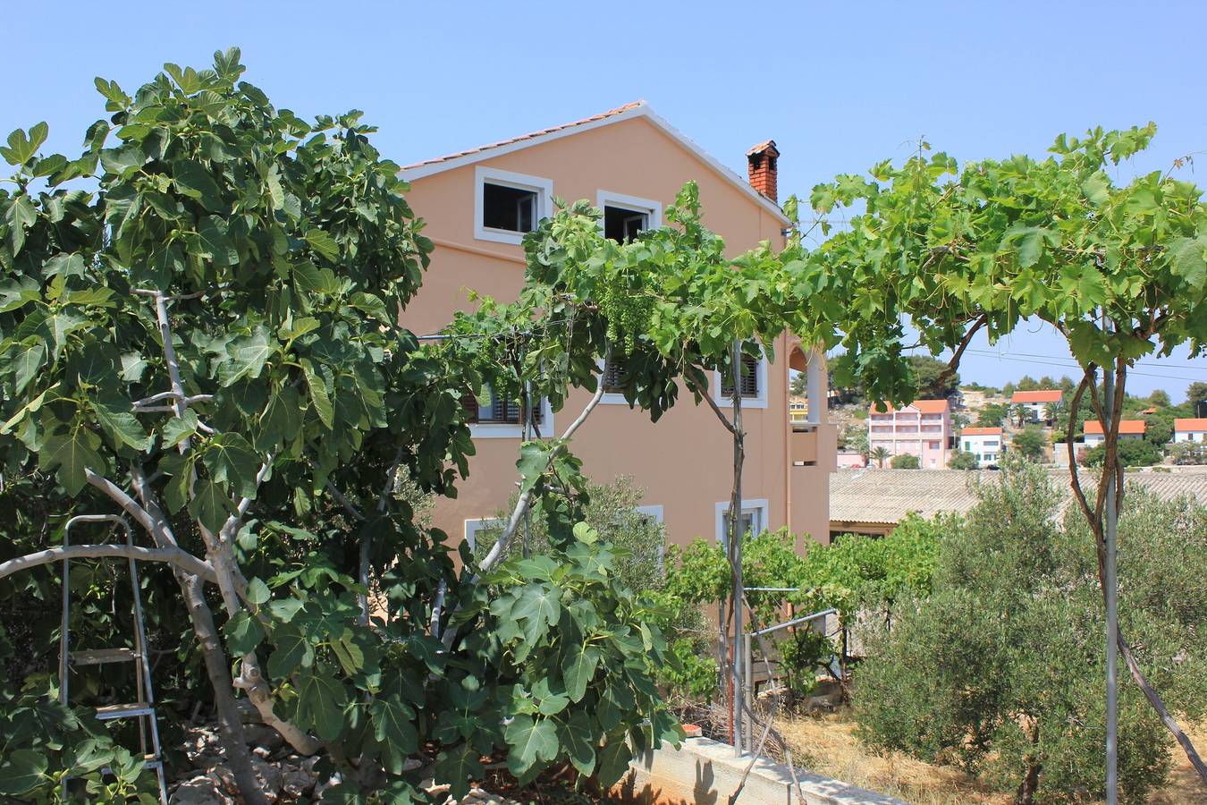 Appartement entier, Garçonniere avec le balcon Sali, Dugi otok As-8121-b in Sali, Dugi Otok