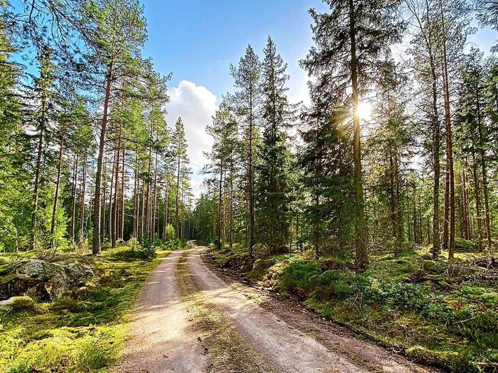 Chalet für 10 Personen, mit Haustier in Südschweden - 3