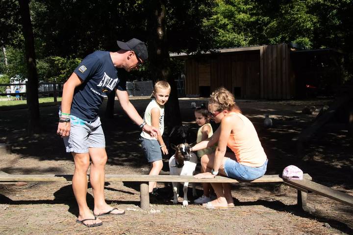Mobil home pour 4 personnes, avec terrasse à Ploemel - 4