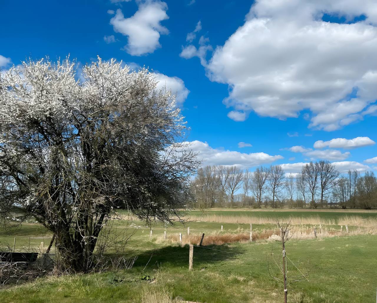 Ferienhaus Reetkate Hemme in Hemme, Eider-Treene-Sorge