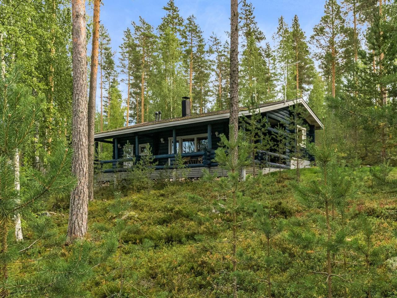 Joutsen in Puumala, Südsavo