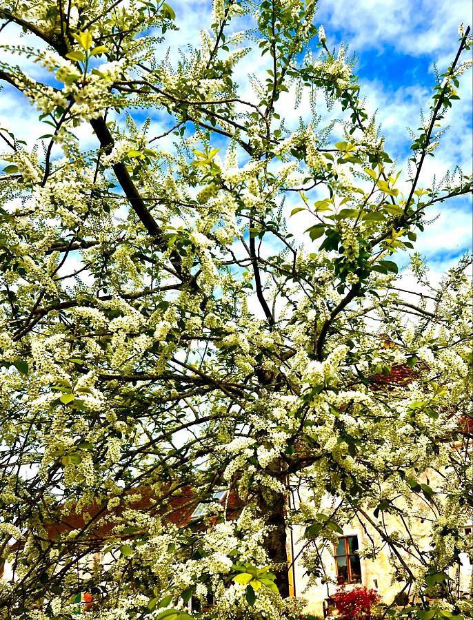 Gîte pour 6 personnes, avec vue et jardin à Ceton - 3