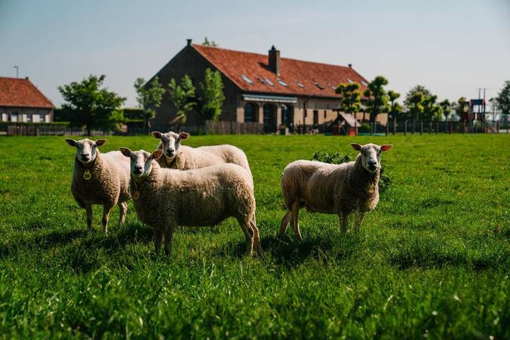 Hôtel pour 2 personnes, avec vue et jardin à Gistel