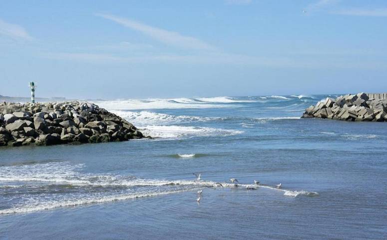 Location de vacances pour 10 personnes, avec jardin à Vila Praia de Ancora - 2