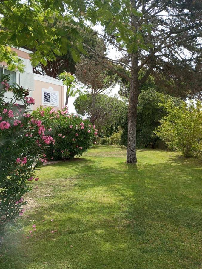 Casa de vacaciones para 4 personas en Algarve - 4