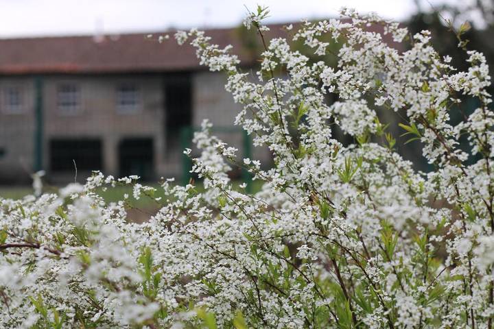 Location de vacances pour 3 personnes, avec vue ainsi que jardin et piscine, animaux acceptés dans Póvoa de Lanhoso - 3