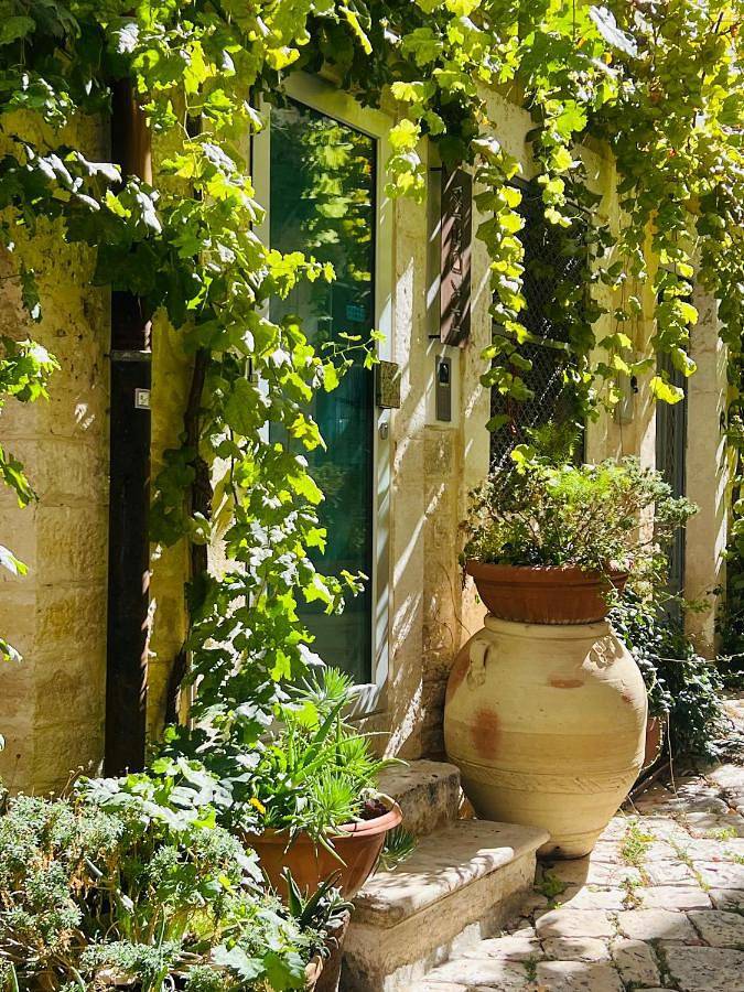 Location de vacances pour 3 personnes, avec jacuzzi et terrasse, animaux acceptés à Acquaviva delle Fonti - 2