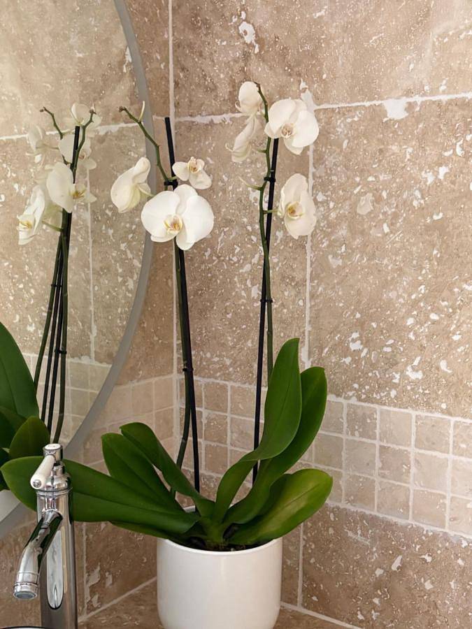 Hôtel pour 2 personnes, avec terrasse à Codolet - 2