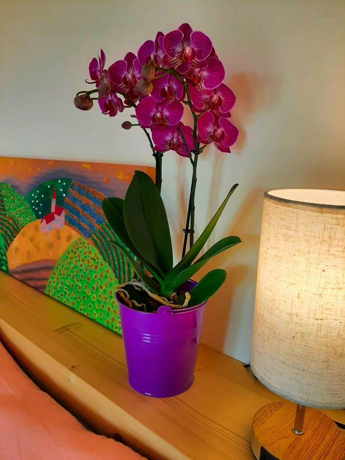 Chambre d’hôte pour 3 personnes, avec jardin et piscine dans Saône-et-Loire - 3