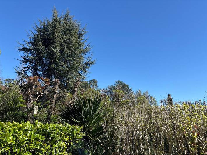 Gîte pour 4 personnes, avec vue et jardin à Barbotan les Thermes - 3