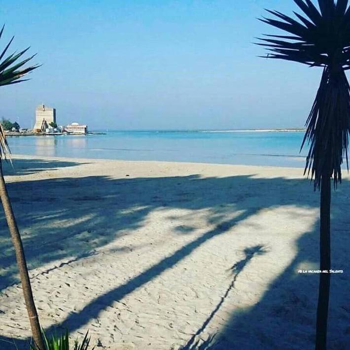 Location de vacances pour 20 personnes, avec piscine ainsi que vue et jardin, animaux acceptés à Copertino - 2