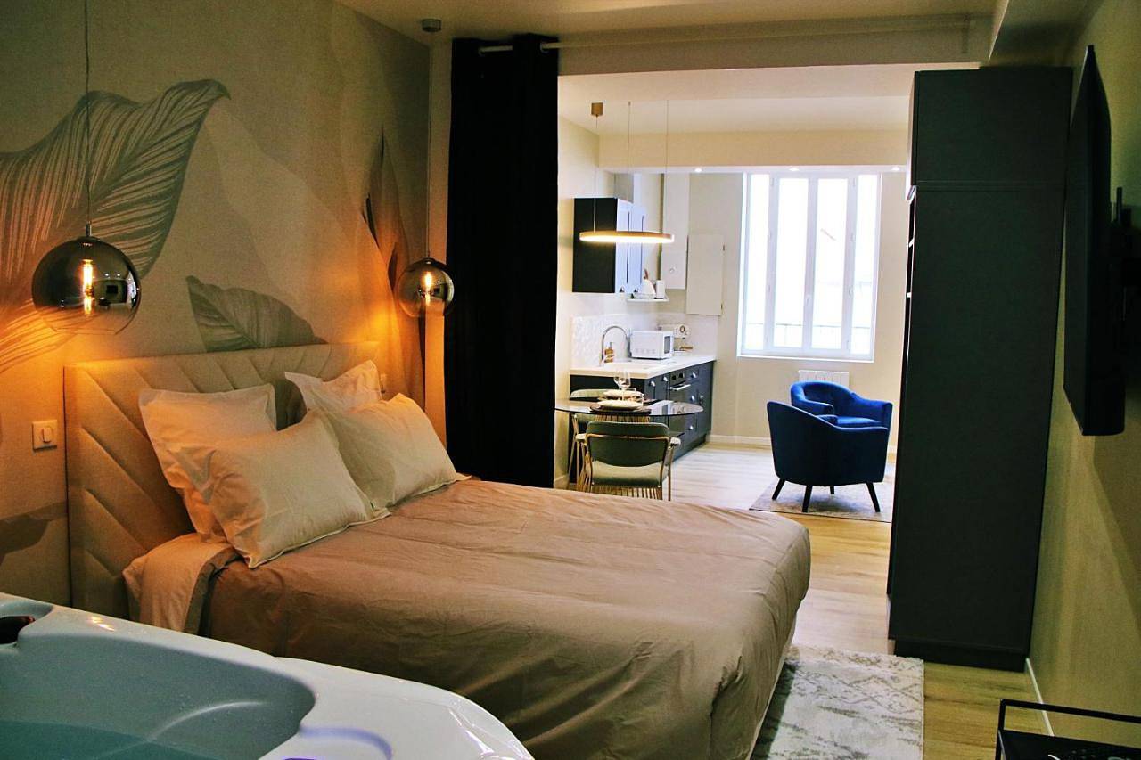 Appartement entier, Superior Apartment in Roanne, Région de Roanne