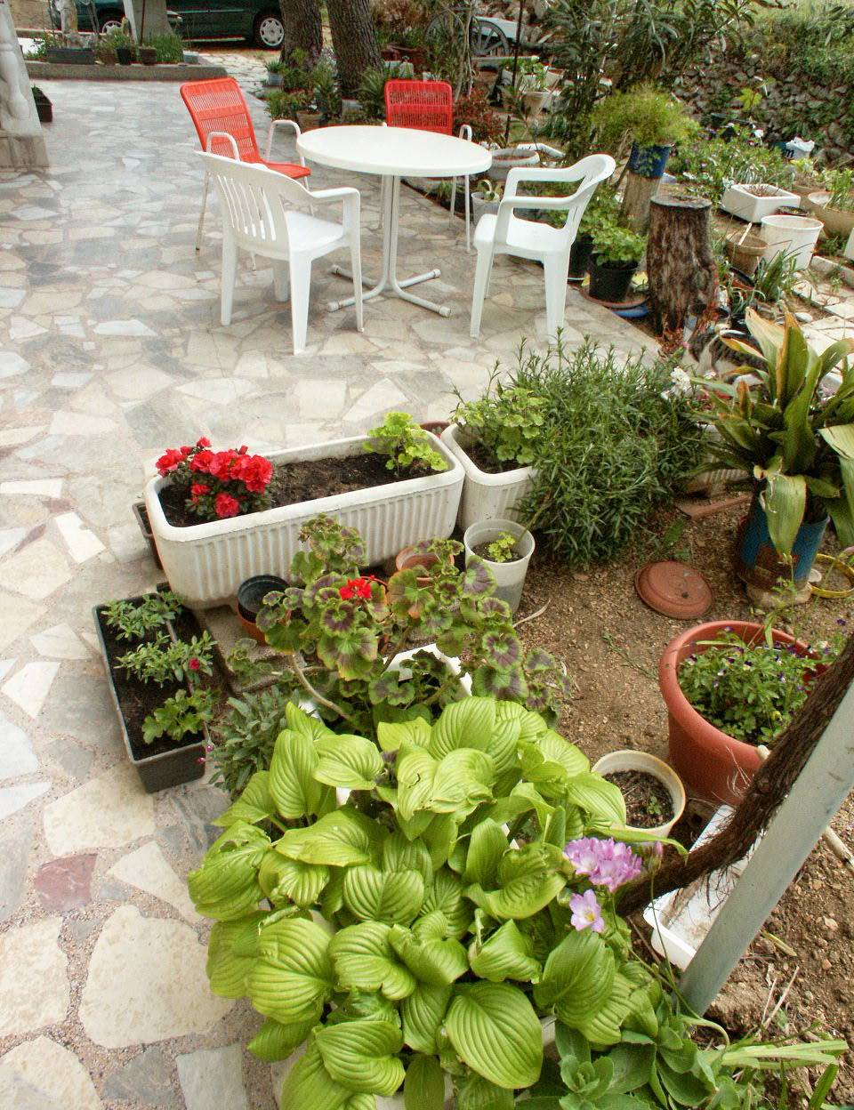 Entire apartment, Two bedroom apartment with terrace and sea view Pag A-532-b in Pag Town, Pag Island