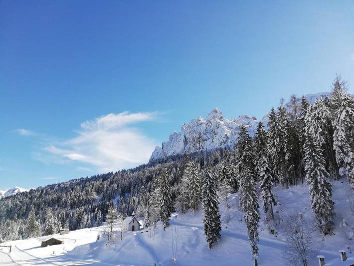 Hôtel pour 4 personnes, avec vue et jardin, animaux acceptés à Transacqua - 3