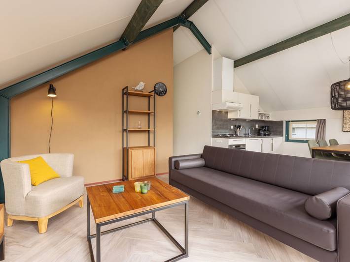 Location de vacances pour 6 personnes, avec piscine ainsi que jardin et terrasse, animaux acceptés à Putten - 2