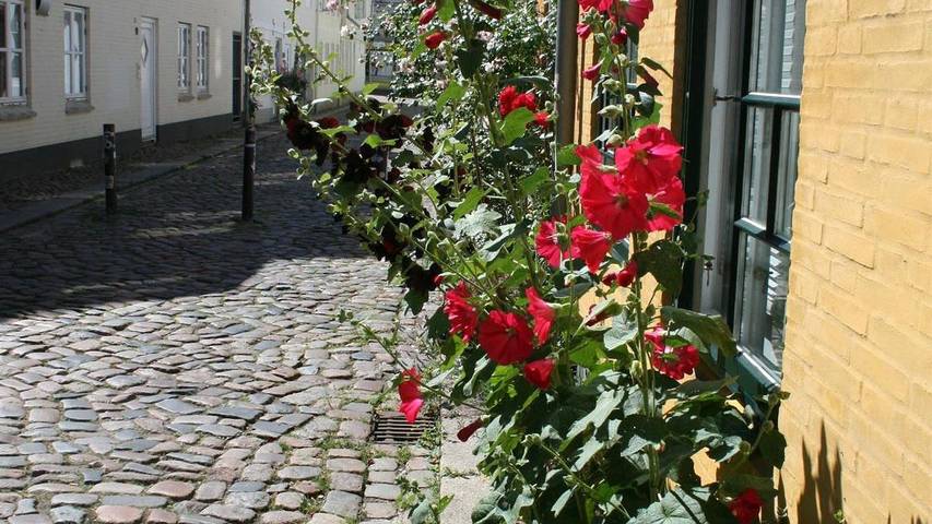 Ferienwohnung für 2 Personen, mit Garten in Dampf Rundum - 2
