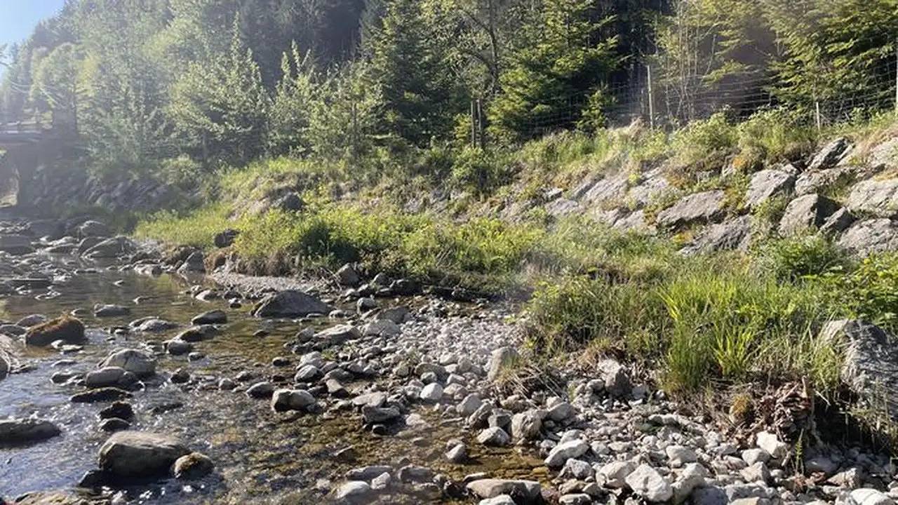 Ganze Ferienwohnung, Ferienwohnung für 5 Personen (50 m²) in Fuschl am See in Salzkammergut-Berge, Fuschl am See