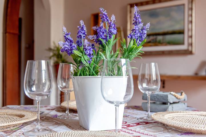 Casa Zito: Vista Montagna, Terrazza Privata e Wi-Fi a San Giuliano Asciano Pisa in San Giuliano Terme, Riviera Toscana