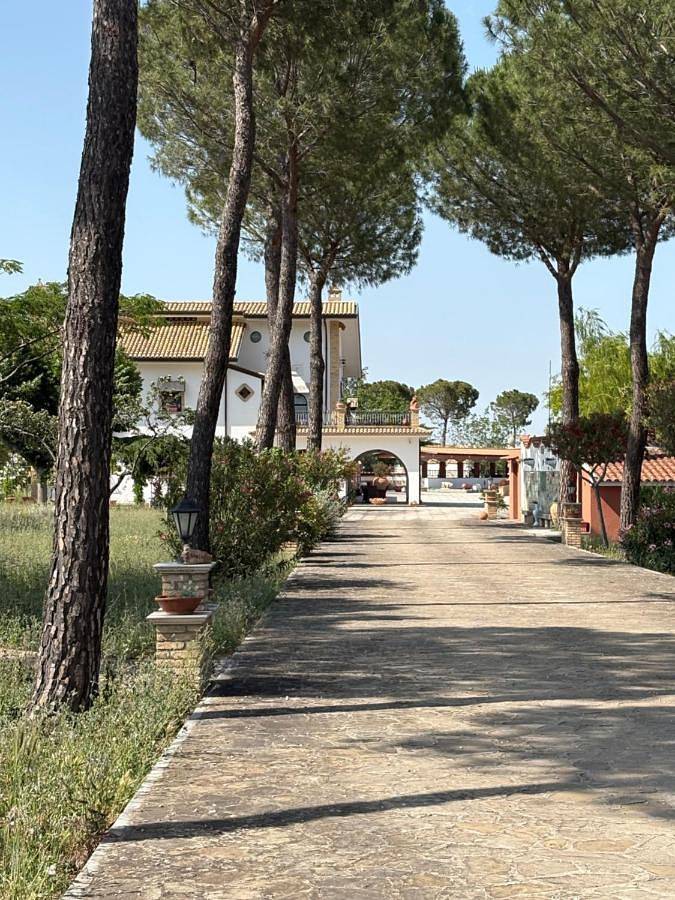 Maison d’hôte pour 4 personnes, avec Terrasse ainsi que Jardin et Vue à Biccari
