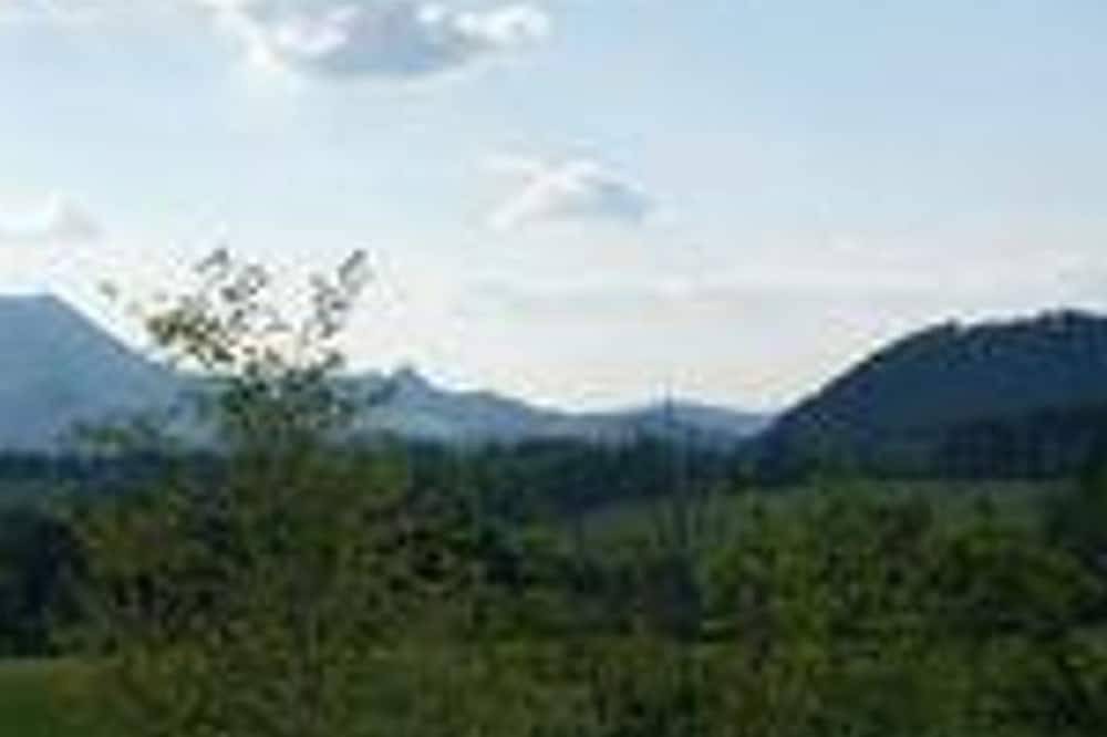 Einzelzimmer - Pension Schierl in Salzkammergut-Berge, Faistenau