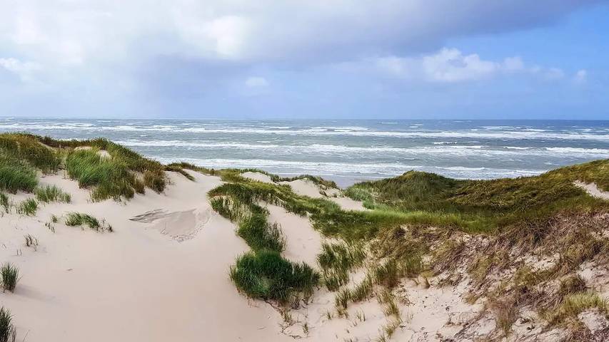 Ferienhaus für 9 Personen, mit Whirlpool und Terrasse sowie Sauna, mit Haustier in Hirtshals region - 4