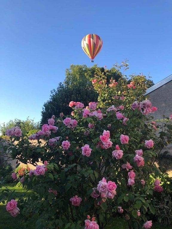 Location de vacances pour 2 personnes, avec jardin près des Châteaux de la Loire - 3