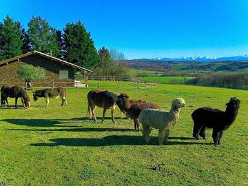 Gîte pour 3 personnes, avec terrasse et jardin à Bardos