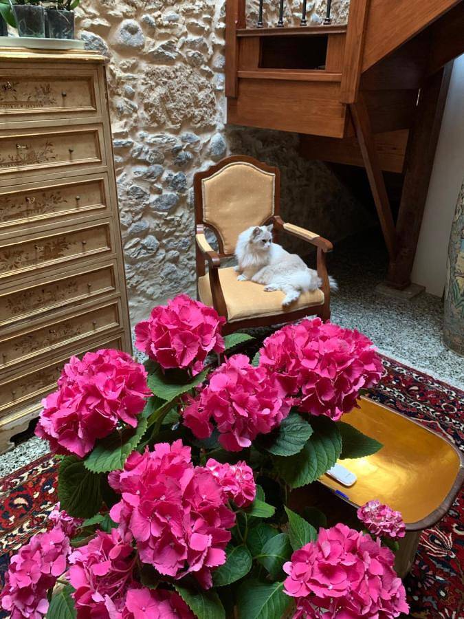 Chambre d’hôte pour 2 personnes, avec Terrasse à Las Palmas de Gran Canaria - 2