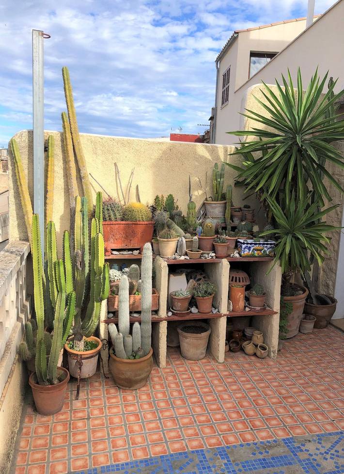 Ferienhaus für 4 Personen, mit Terrasse in Artà - 3