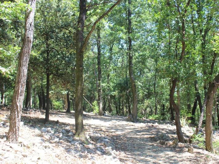 Mago in Ameglia in Comune di Ameglia, Parco Naturale Regionale di Montemarcello-Magra-Vara