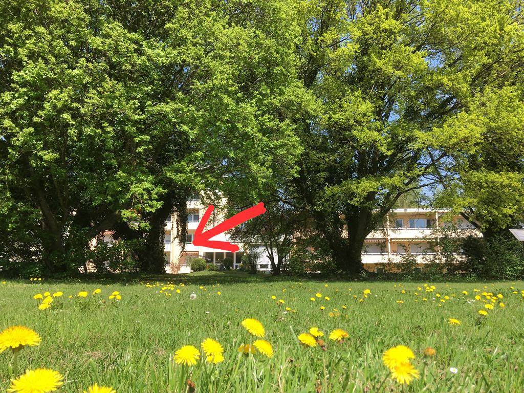 Ganze Ferienwohnung, Seeblick Appartement Bill - 1-Zimmer-Fewo, 20 m², 1. Etage in Radolfzell, Radolfzell am Bodensee