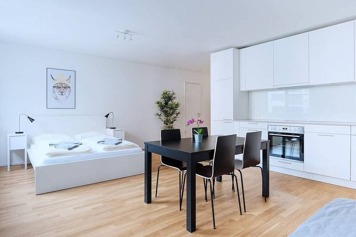 Apartamento entero, Bs Lynx Ii - Fair Hitrental Apartment in Basel Zustellkreis, Basilea