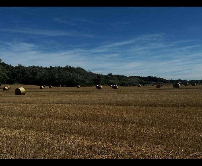 Location de vacances pour 17 personnes, avec piscine et terrasse dans Beaurepaire - 2