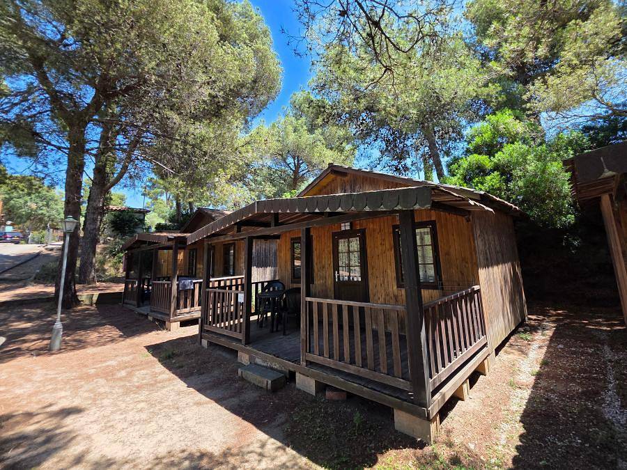 Camping Cala Llevado - Sea Green By Sunêlia - Chalet 2 personen - Low Cost 1 kamer zonder badkamer, foto 6