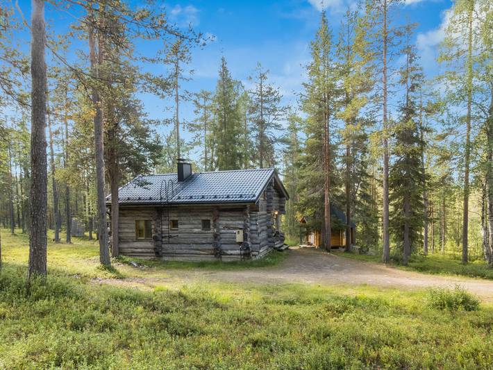 Ukkohermanni in Lappland