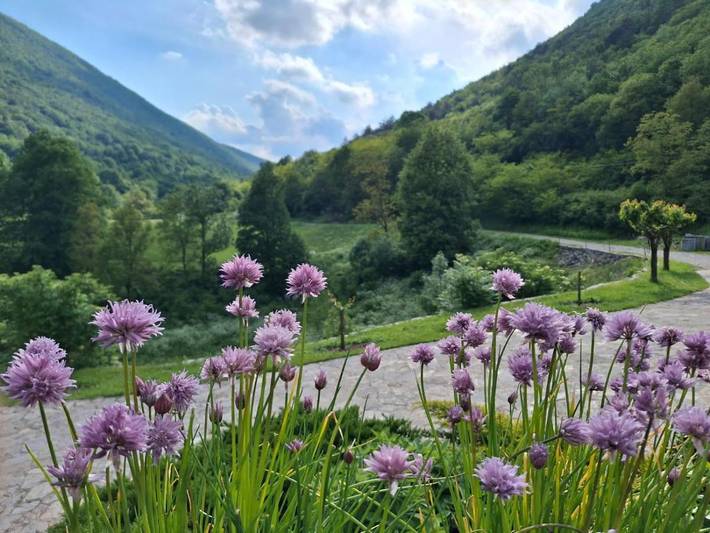 Appartement de vacances pour 3 personnes, avec vue et terrasse
