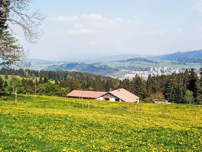 Ganze Wohnung, La ferme du sommet de Pouillerel in La Chaux-de-Fonds, Massif du Jura
