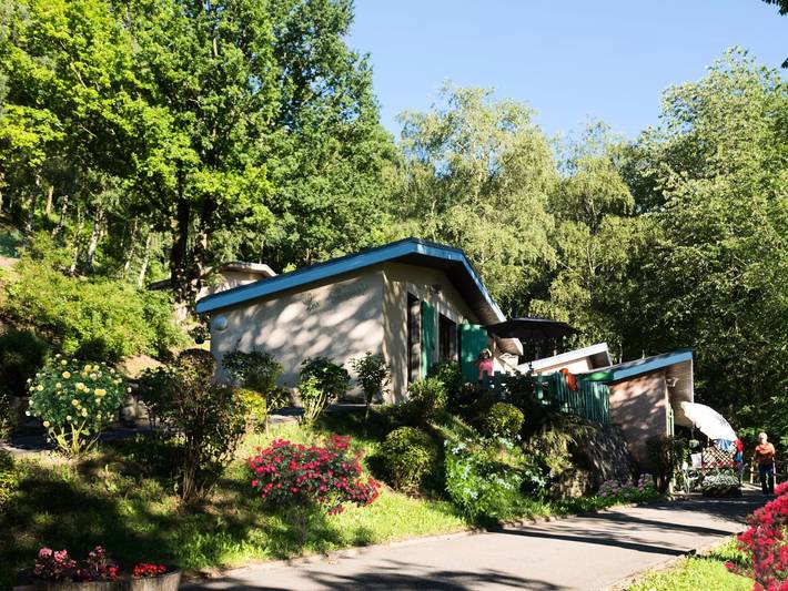 Gîte pour 4 personnes, avec piscine et vue, animaux acceptés dans le Tarn - 3