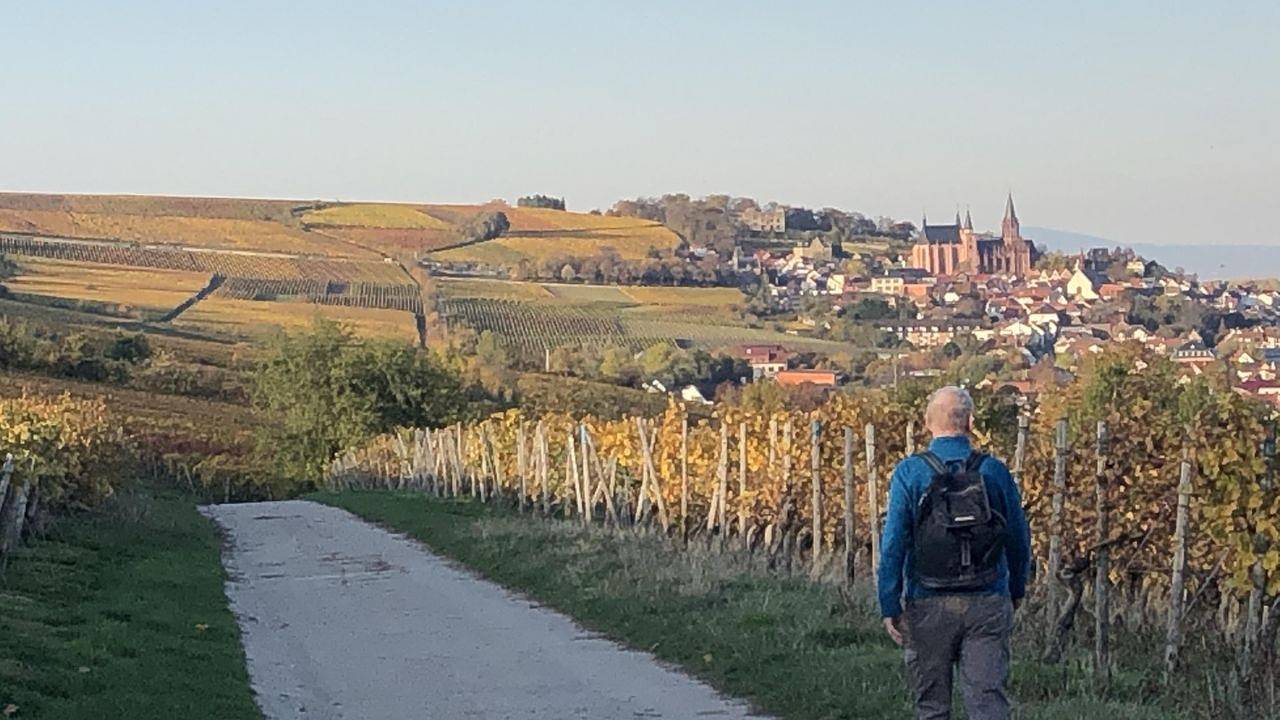 Ganze Ferienwohnung, Ferienwohnung für 4 Personen (55 m²) in Oppenheim in Oppenheim, Rheinhessen