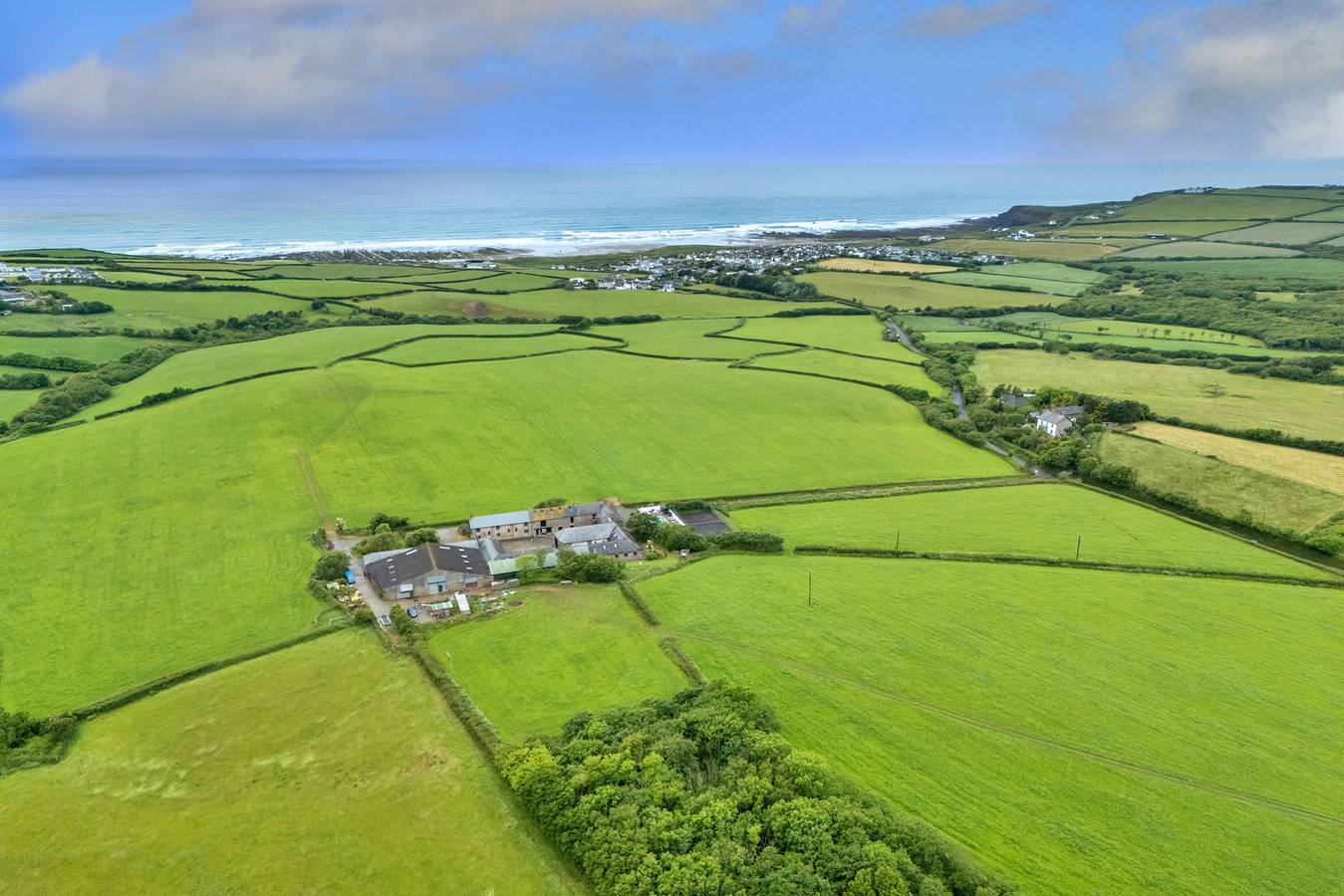 Goose, Quinceborough Farm in Pentire Point - Widemouth