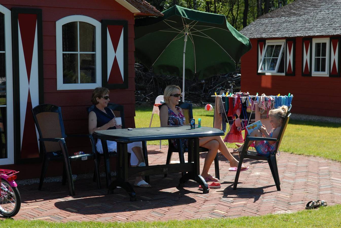 Ferienhaus für 6 Personen mit Terrasse in Hoge Veluwe