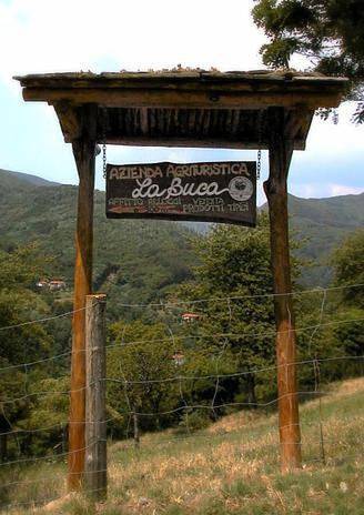 Appartamento intero, Agriturismo La Buca in Cutigliano, Iano