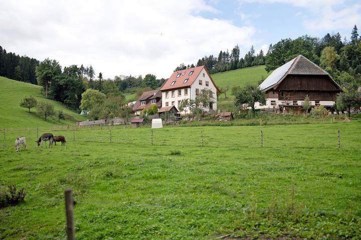 Ferienwohnung für 4 Personen, mit Garten - 1