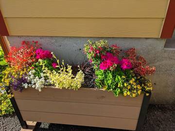 Cottage for 6 Guests in Netarts, Oregon Coast, Picture 3