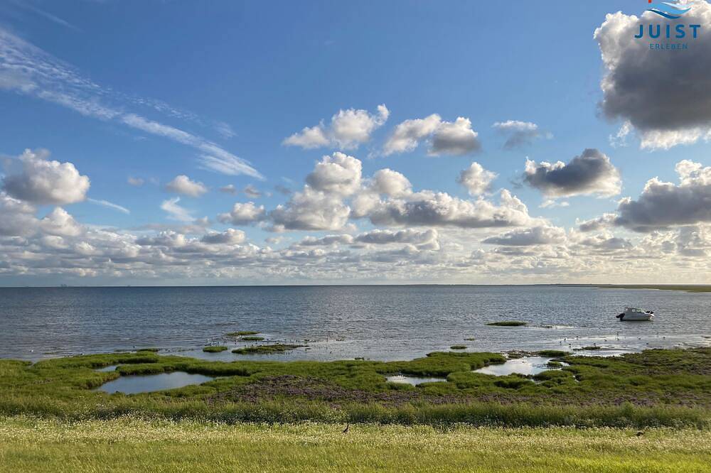 Gemütliche Ferienwohnung, ideal für Paare, mit Garten, im schönen Loog — Bild 5
